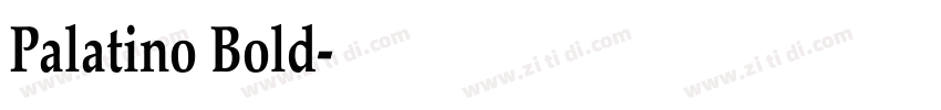 Palatino Bold字体转换